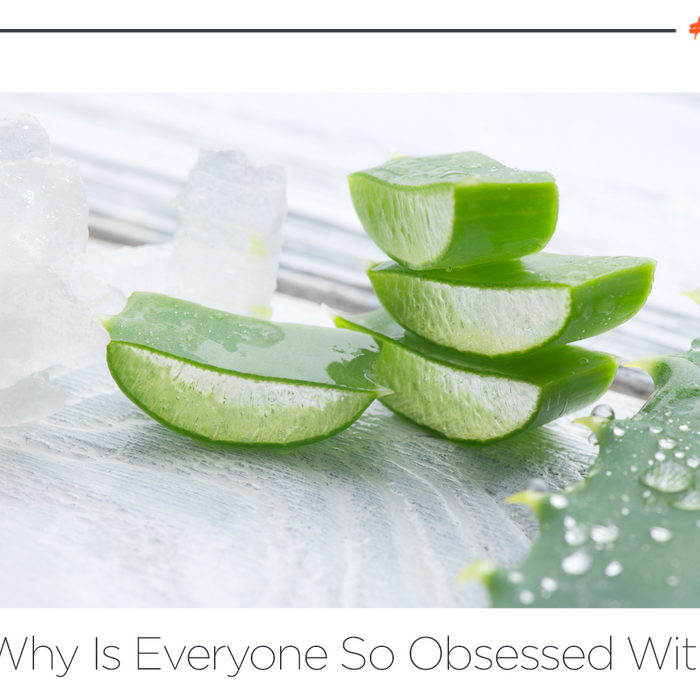 Why Is Everyone So Obsessed With Aloe?