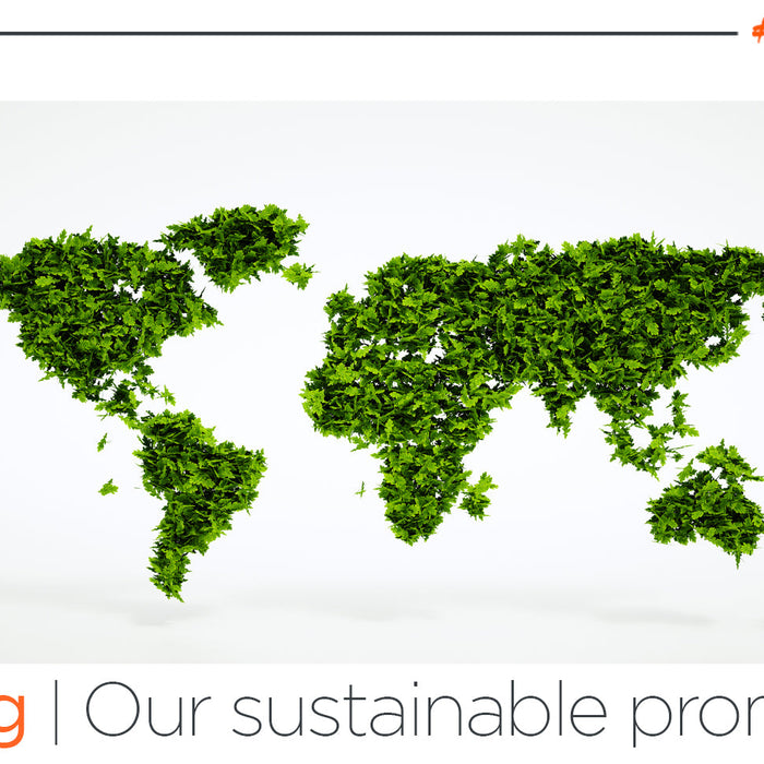 Our Sustainable Promise